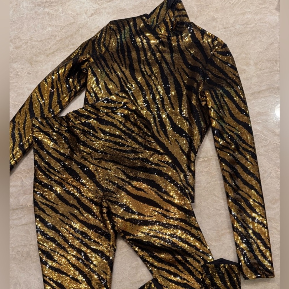 Balenciaga Sequined Zebra Print Top and Pants Set